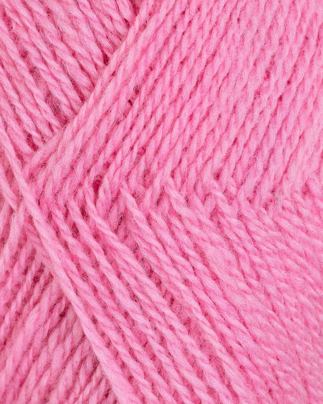 Finull 479 Rosa