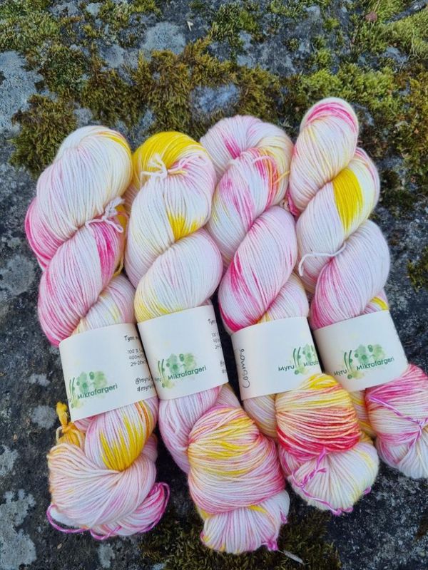 Tynn Merino, Cosmos